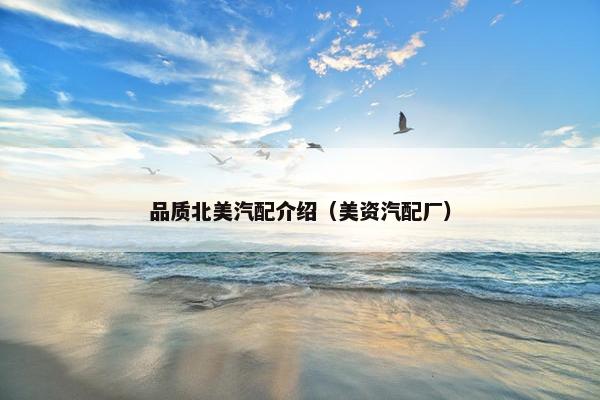 品质北美汽配介绍（美资汽配厂）