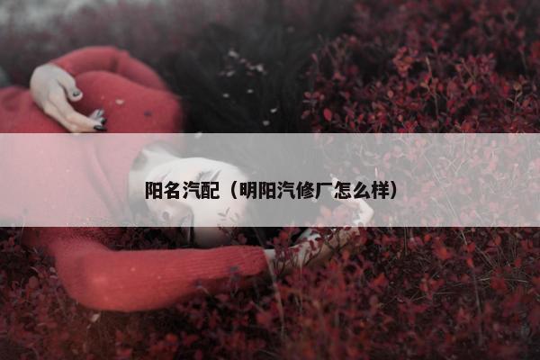 阳名汽配（明阳汽修厂怎么样）