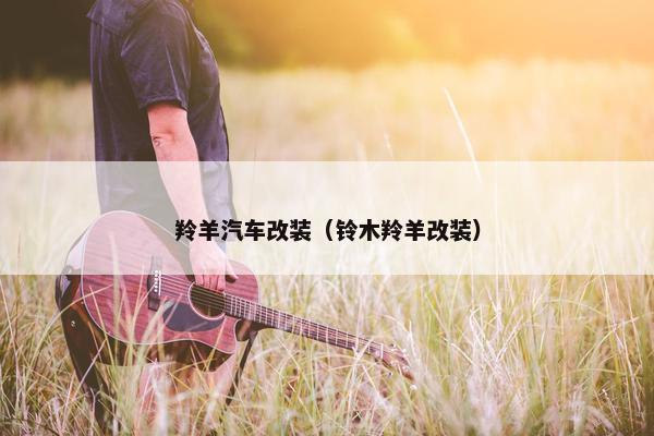 羚羊汽车改装（铃木羚羊改装）