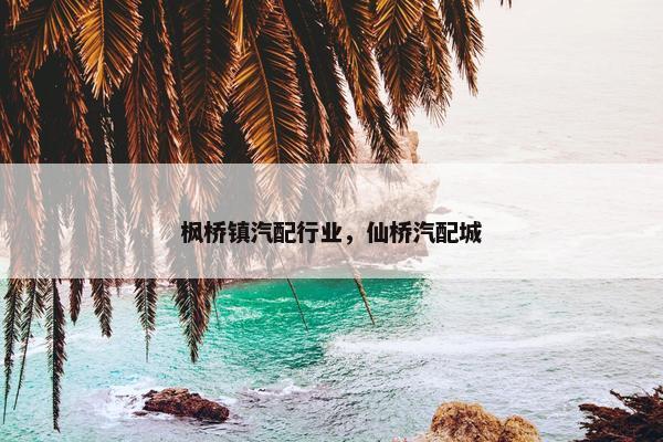 枫桥镇汽配行业，仙桥汽配城