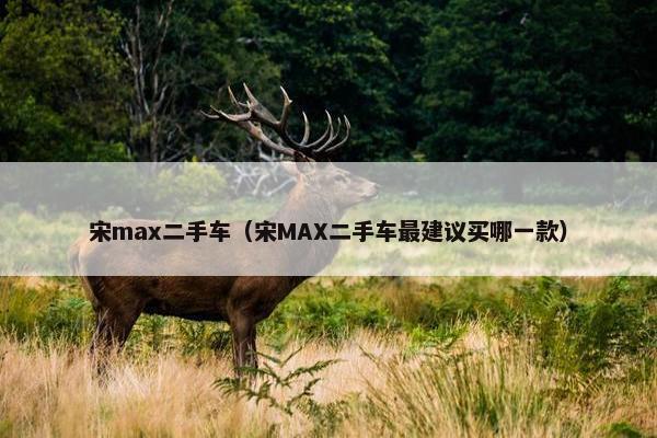 宋max二手车（宋MAX二手车最建议买哪一款）