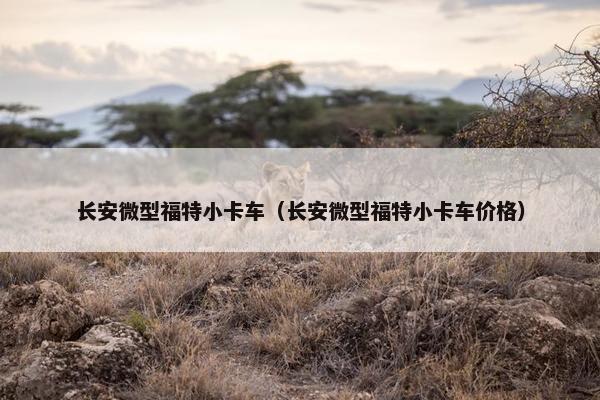 长安微型福特小卡车（长安微型福特小卡车价格）