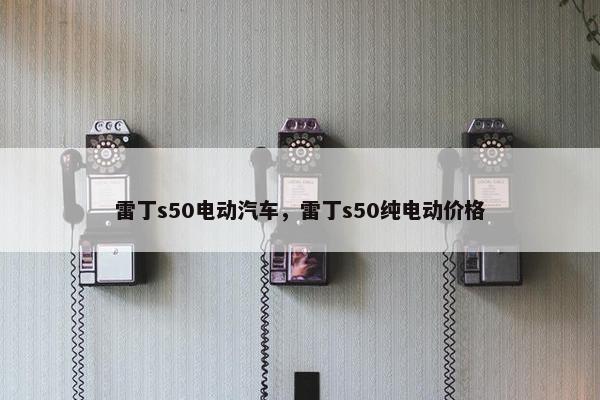雷丁s50电动汽车，雷丁s50纯电动价格