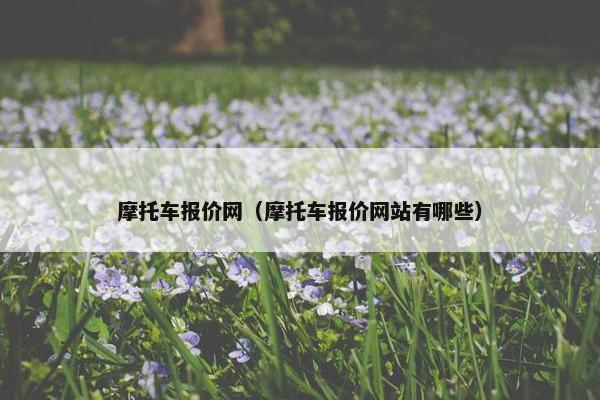 摩托车报价网（摩托车报价网站有哪些）