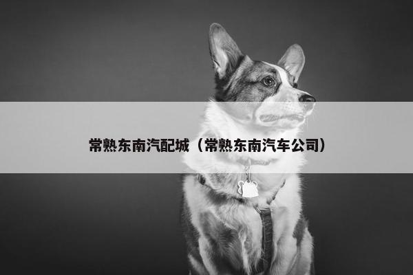 常熟东南汽配城（常熟东南汽车公司）