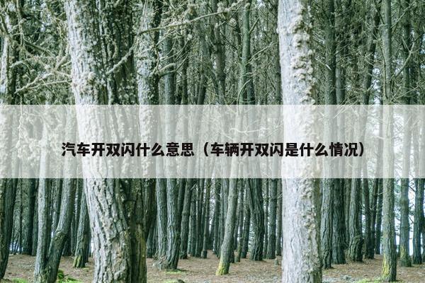汽车开双闪什么意思（车辆开双闪是什么情况）