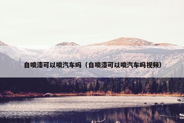 自喷漆可以喷汽车吗（自喷漆可以喷汽车吗视频）