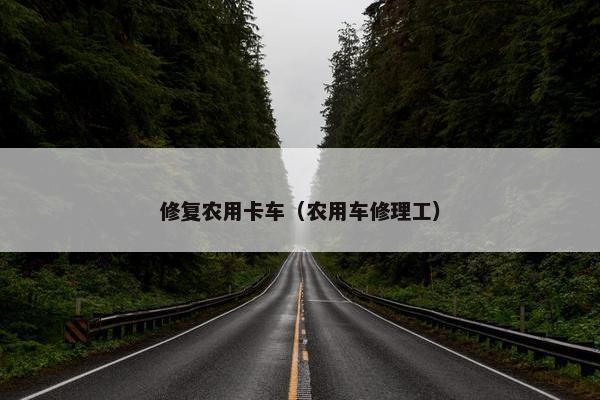 修复农用卡车（农用车修理工）