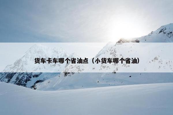 货车卡车哪个省油点（小货车哪个省油）