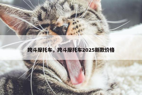 跨斗摩托车，跨斗摩托车2025新款价格