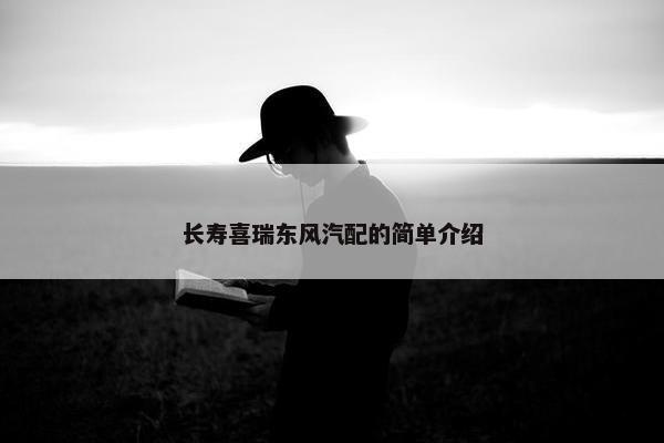 长寿喜瑞东风汽配的简单介绍