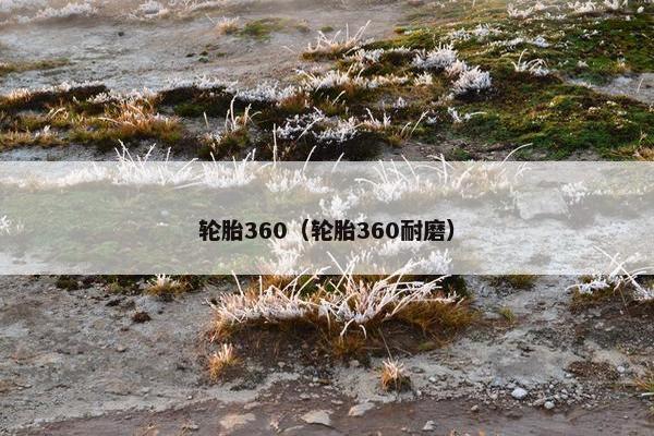 轮胎360（轮胎360耐磨）