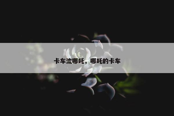 卡车流哪吒，哪吒的卡车