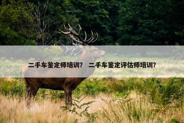 二手车鉴定师培训？ 二手车鉴定评估师培训？