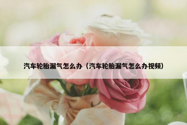 汽车轮胎漏气怎么办（汽车轮胎漏气怎么办视频）