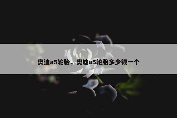 奥迪a5轮胎，奥迪a5轮胎多少钱一个