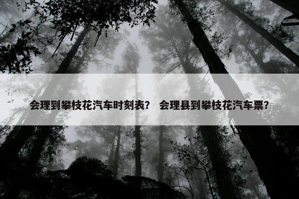 会理到攀枝花汽车时刻表？ 会理县到攀枝花汽车票？