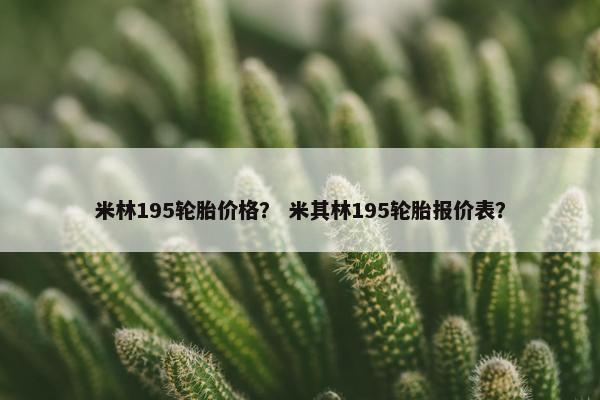 米林195轮胎价格？ 米其林195轮胎报价表？
