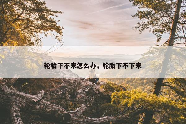 轮胎下不来怎么办，轮胎下不下来