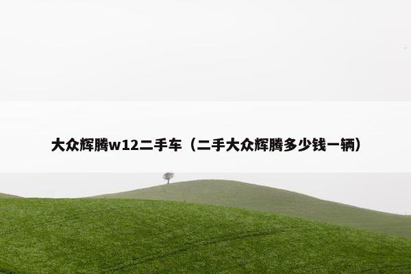大众辉腾w12二手车（二手大众辉腾多少钱一辆）