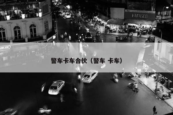 警车卡车合伙（警车 卡车）