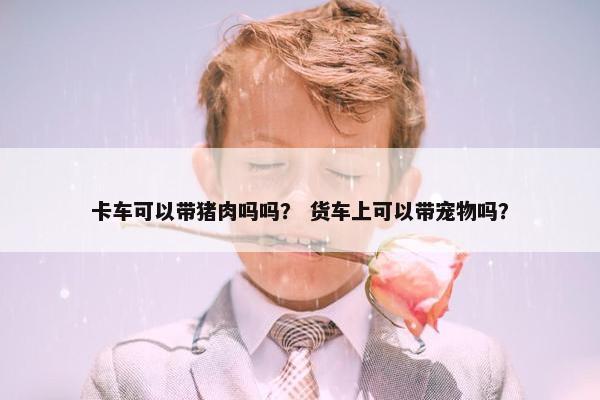 卡车可以带猪肉吗吗？ 货车上可以带宠物吗？