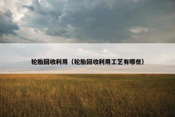 轮胎回收利用（轮胎回收利用工艺有哪些）