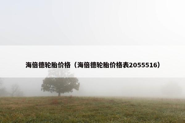 海倍德轮胎价格（海倍德轮胎价格表2055516）