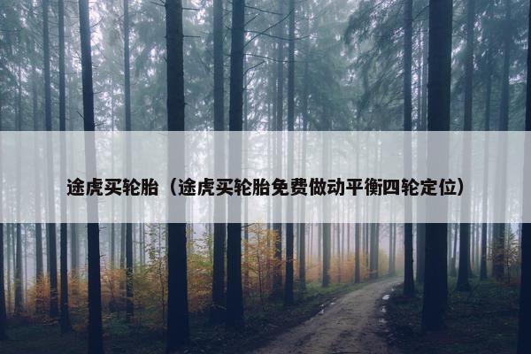 途虎买轮胎（途虎买轮胎免费做动平衡四轮定位）