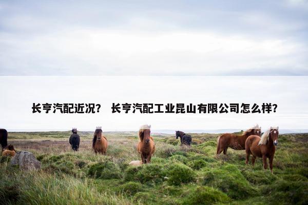 长亨汽配近况？ 长亨汽配工业昆山有限公司怎么样？