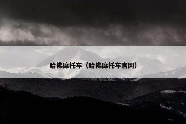 哈佛摩托车（哈佛摩托车官网）