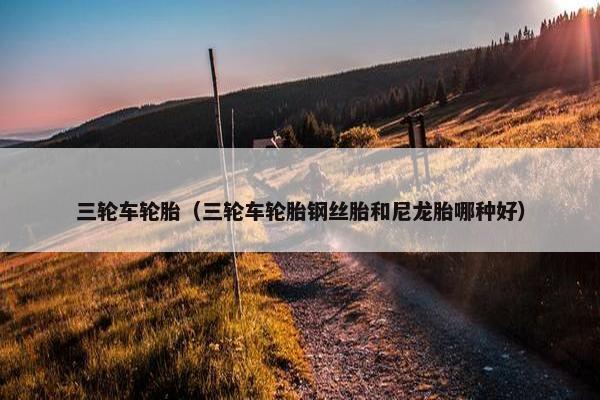 三轮车轮胎（三轮车轮胎钢丝胎和尼龙胎哪种好）
