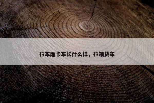 拉车厢卡车长什么样，拉箱货车