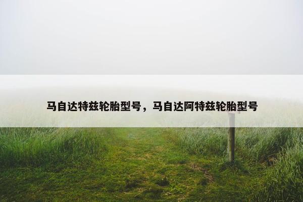 马自达特兹轮胎型号，马自达阿特兹轮胎型号