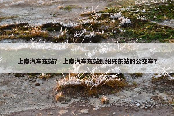 上虞汽车东站？ 上虞汽车东站到绍兴东站的公交车？