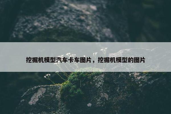 挖掘机模型汽车卡车图片，挖掘机模型的图片