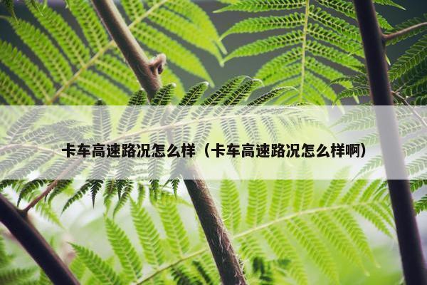 卡车高速路况怎么样（卡车高速路况怎么样啊）