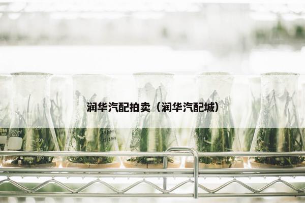 润华汽配拍卖（润华汽配城）