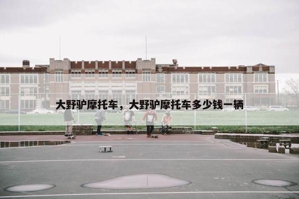 大野驴摩托车，大野驴摩托车多少钱一辆