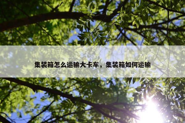 集装箱怎么运输大卡车，集装箱如何运输