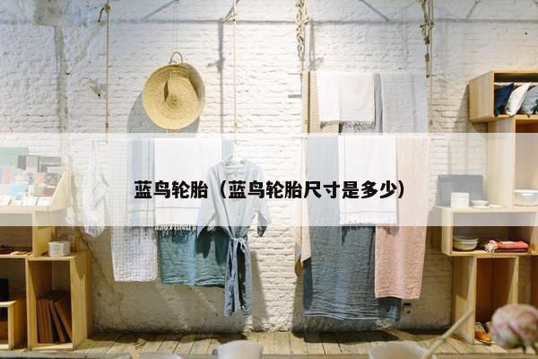 蓝鸟轮胎（蓝鸟轮胎尺寸是多少）