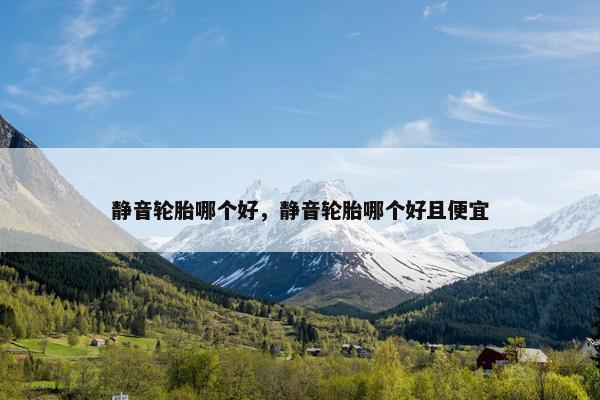 静音轮胎哪个好，静音轮胎哪个好且便宜