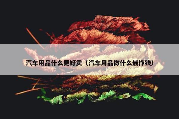 汽车用品什么更好卖（汽车用品做什么最挣钱）