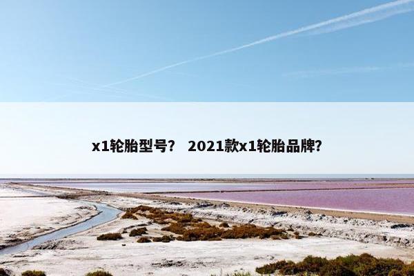 x1轮胎型号？ 2021款x1轮胎品牌？