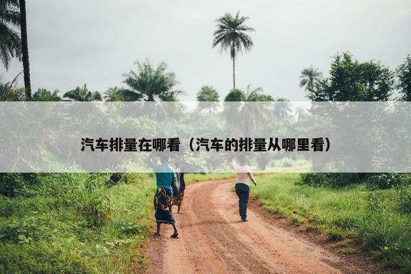 汽车排量在哪看（汽车的排量从哪里看）