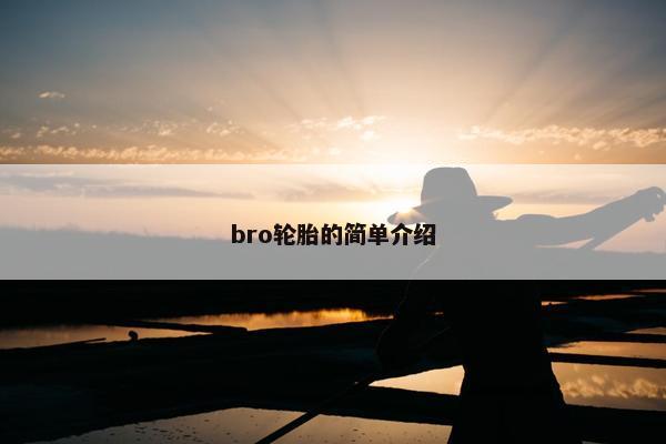 bro轮胎的简单介绍
