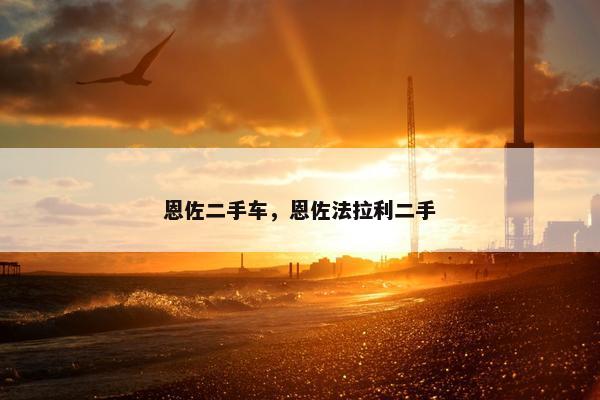 恩佐二手车，恩佐法拉利二手