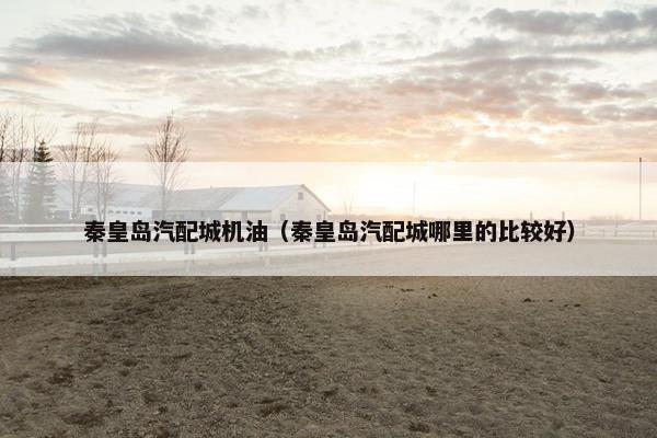 秦皇岛汽配城机油（秦皇岛汽配城哪里的比较好）