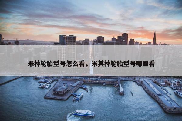 米林轮胎型号怎么看，米其林轮胎型号哪里看