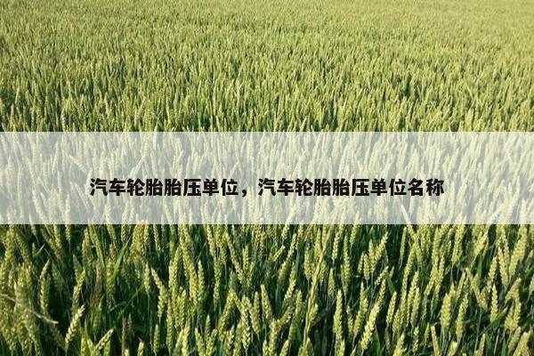 汽车轮胎胎压单位，汽车轮胎胎压单位名称